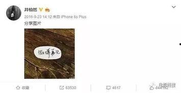 娱乐圈吃瓜感慨文案怎么写,揭秘明星背后的故事与真相