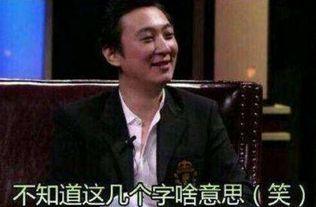 本山大叔背景大吗,从草根到喜剧巨匠的辉煌历程