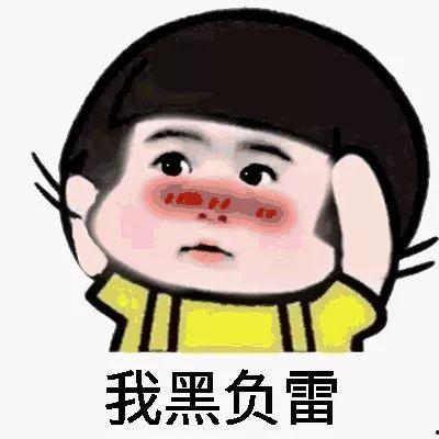 倾听表情包,解码无声语言，捕捉情感瞬间