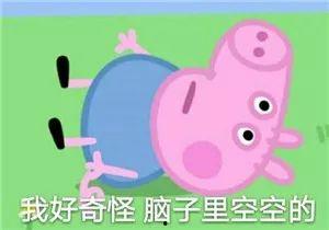 补补血表情包