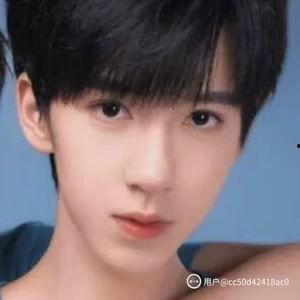 霖的明星
